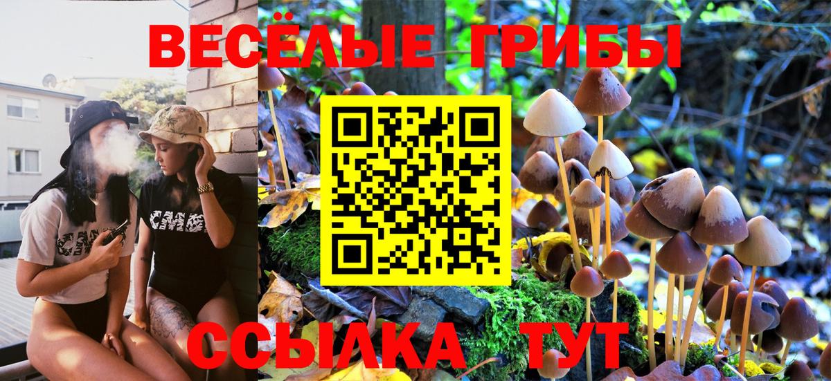 Псилоцибиновые грибы Magic Shrooms Кингисепп
