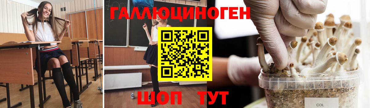 Кингисепп  где можно купить наркотик  Вход с VPN  Псилоцибиновые грибы Cubensis 