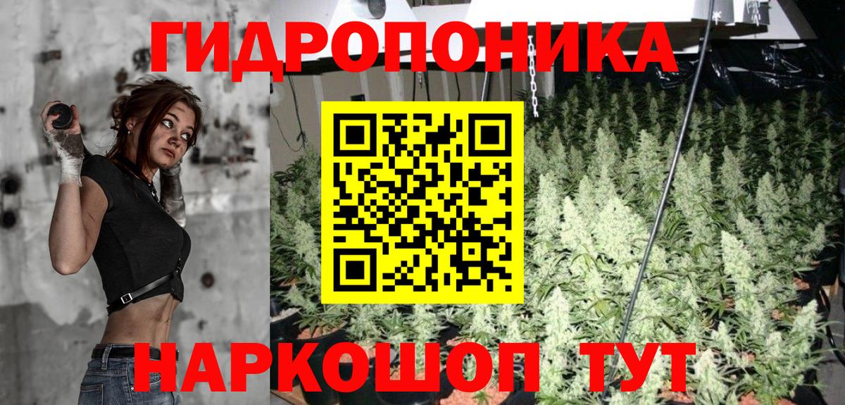 Кингисепп  МАРИХУАНА MAZAR  Вход с VPN  Конопля индика 